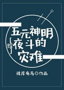 [综]五元神明夜斗的灾难