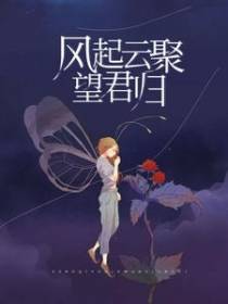 风起云聚望君归