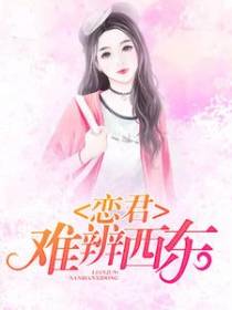 总裁闪婚你别追