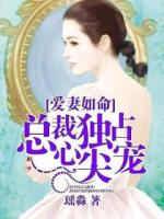 冷情CEO独占小萌妻