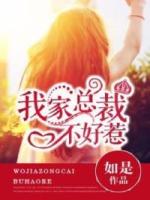 不好惹的总裁大人