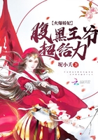 王爷被人抢走了