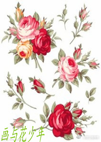 画与花少年