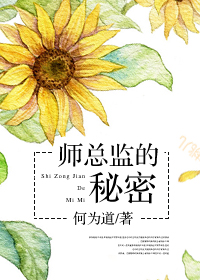 师总监的秘密（上）