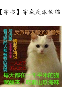 穿成反派的猫（上）