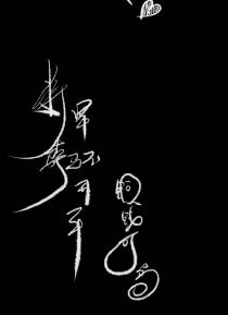 将军骑马不开车