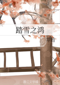 踏雪之鸿