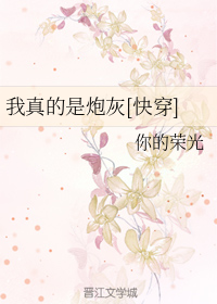 我真的是炮灰[快穿]