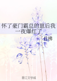 怀了豪门霸总的崽后我一夜爆红了
