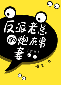 反派老总的炮灰男妻