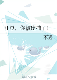 江总，你被逮捕了！