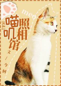 喵叽照相馆