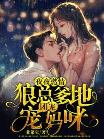 夜夜燃情：狼总爹地团宠宠妈咪