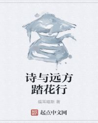 诗与远方踏花行