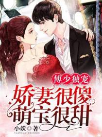 傅少独宠：娇妻很傻，萌宝很甜