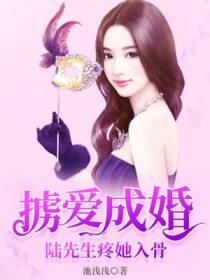 主角叫陆霁北纪南珂的小说