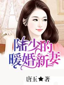 苏简安陆薄言