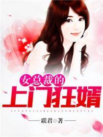 女总裁的上门狂婿方毅