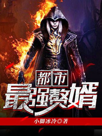 赘婿叶辰