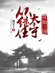 刘枫小说