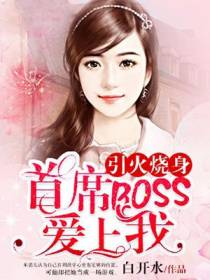 引火烧身：首席BOSS爱上我