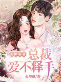 天降萌妻：总裁爱不释手墨靖尧