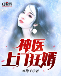 神医上门狂婿孟阳
