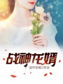 战神龙婿林枫韩倩