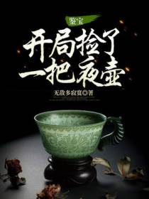 鉴宝：开局捡了一把夜壶