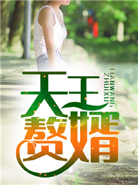 天王赘婿叶辰