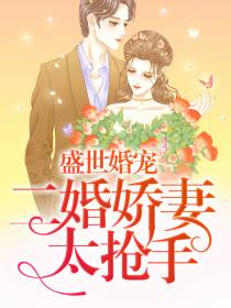 二婚娇妻太抢手雷子琛安然