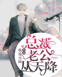总裁老公从天降