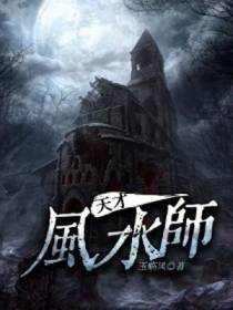 天才风水师张浩李艺菲