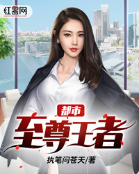 叶苍天夏紫云至尊王者