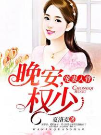 宠妻入骨：晚安，权少