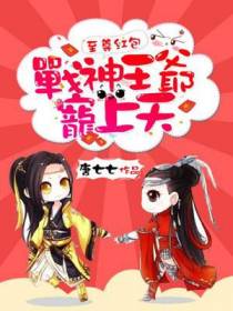 凤九南宫殇
