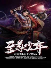 至尊少年秦辰