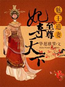 至尊妃夺天下