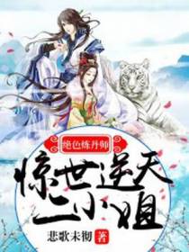 绝色炼丹师：惊世逆天二小姐