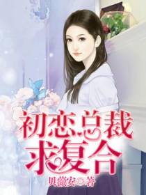 顾暖言墨
