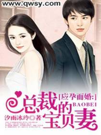 应孕而婚：总裁的宝贝妻