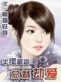 半缘邂逅：总裁劫爱