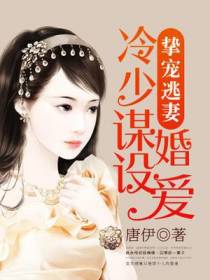 挚宠逃妻：冷少谋婚设爱