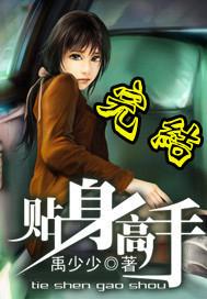 近身高手（版权下架）