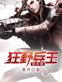 狂野兵王陈锋
