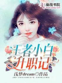 王者小白升职记