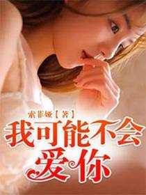 我可能不会爱你
