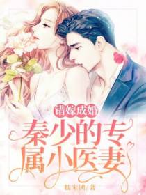 错嫁成婚：秦少的专属小医妻