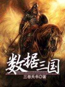 数据三国
