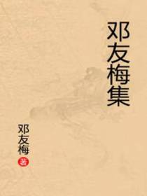 邓友梅集